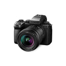 Lumix S5 IIX